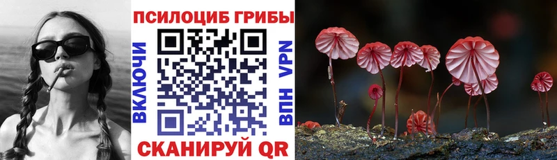 Галлюциногенные грибы прущие грибы  Пустошка 